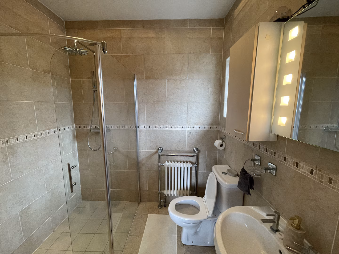 Ensuite shower and vanity area