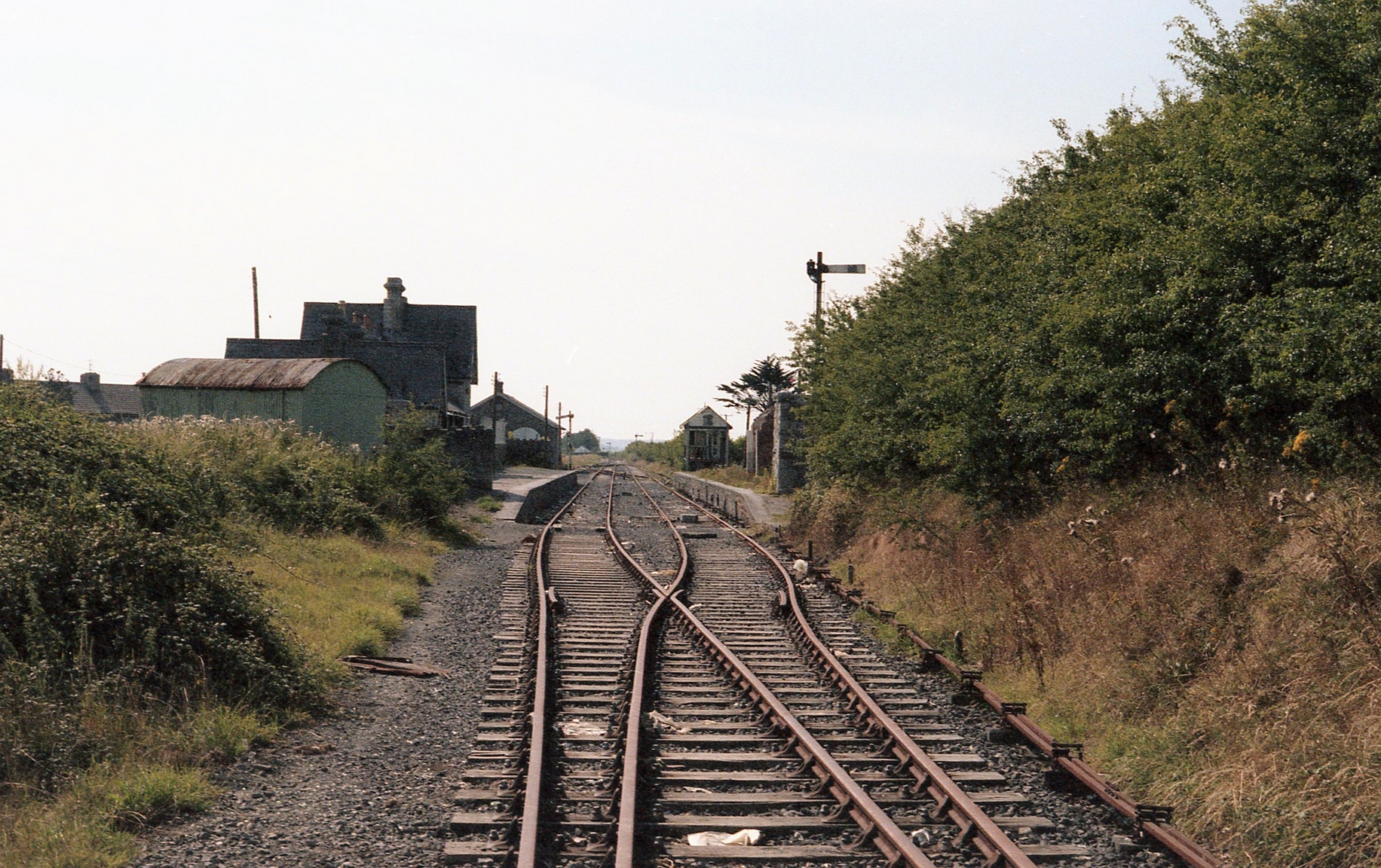 Disused railway line near Listowel in 1984